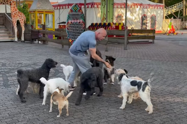 Wolfgang Lauenburger und Hunde. Quelle: Screenshot Youtube