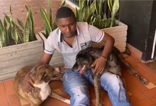 Choco und seine Hunde. Quelle: Screenshot Youtube