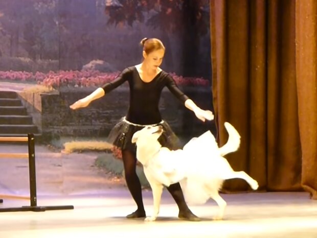 Ballerina tanzt mit einem Hund. Quelle: Screenshot Youtube