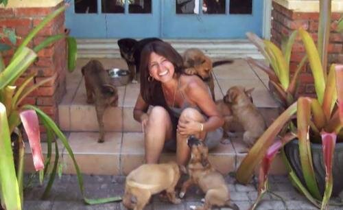 Frau rettet 97 Hunde, die im Sturm vergessen wurden