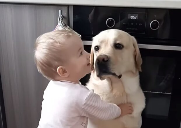 Labrador und Mädchen. Quelle: Screenshot Youtube